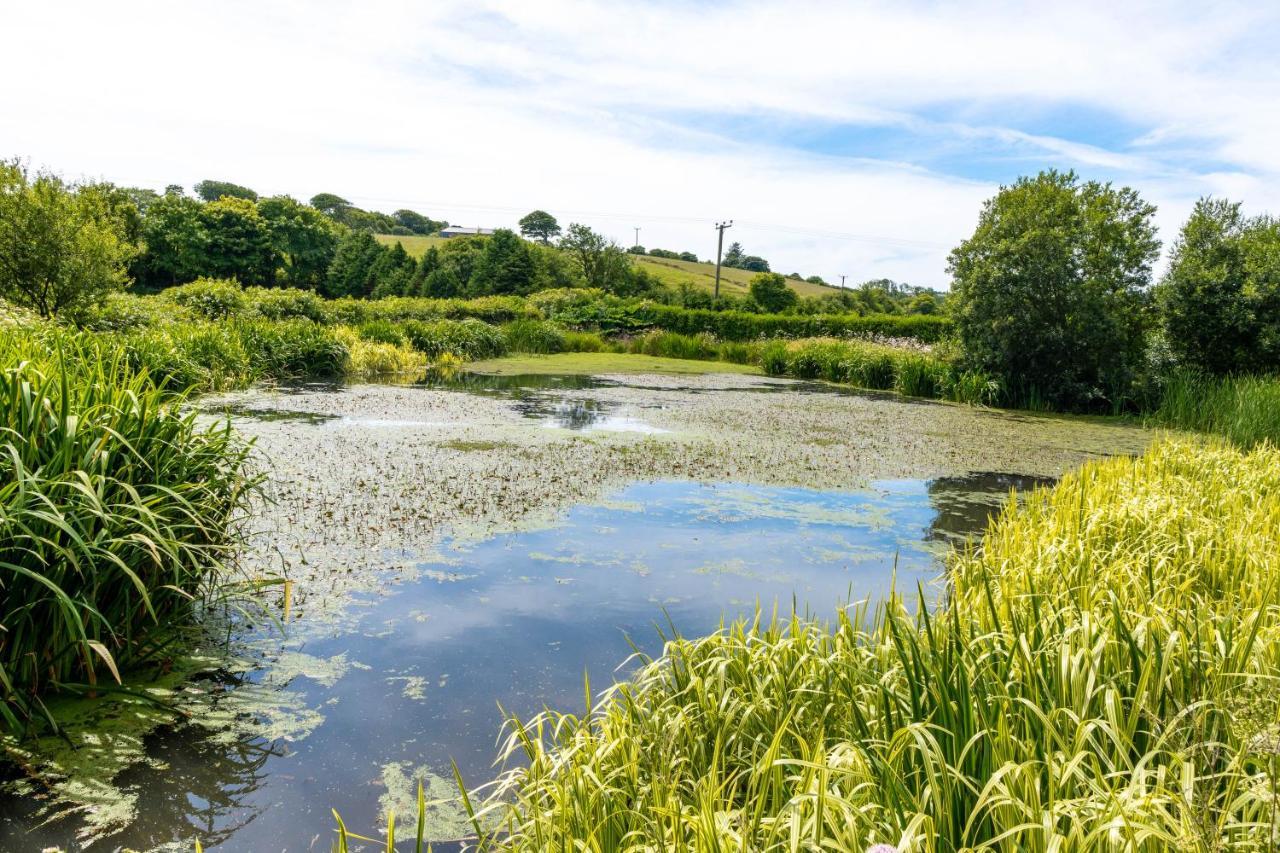 Ta Mill Holiday Cottages & Lodges -Ta Mill House Launceston Extérieur photo